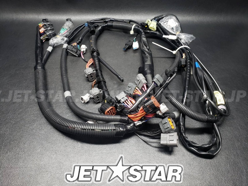 WIRE HARNESS ASSY 1