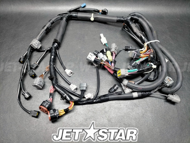 WIRE HARNESS ASSY 1