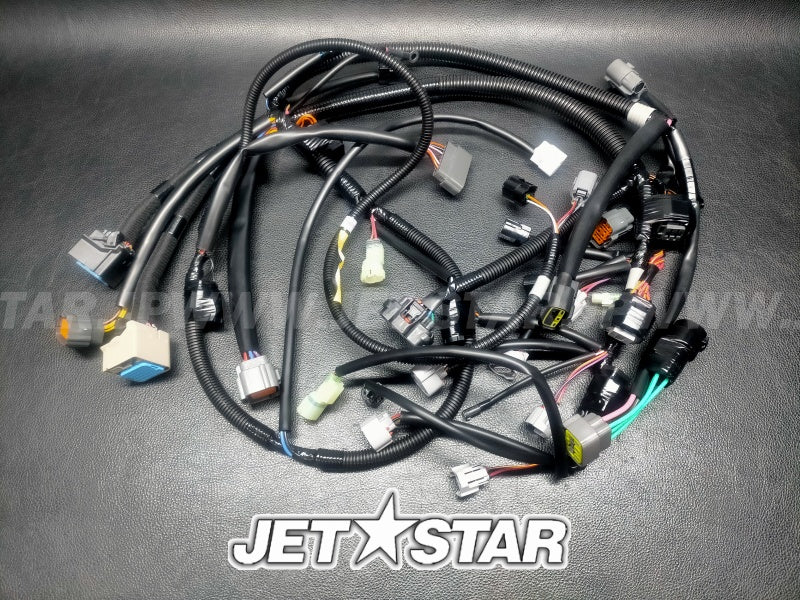 WIRE HARNESS ASSY 1