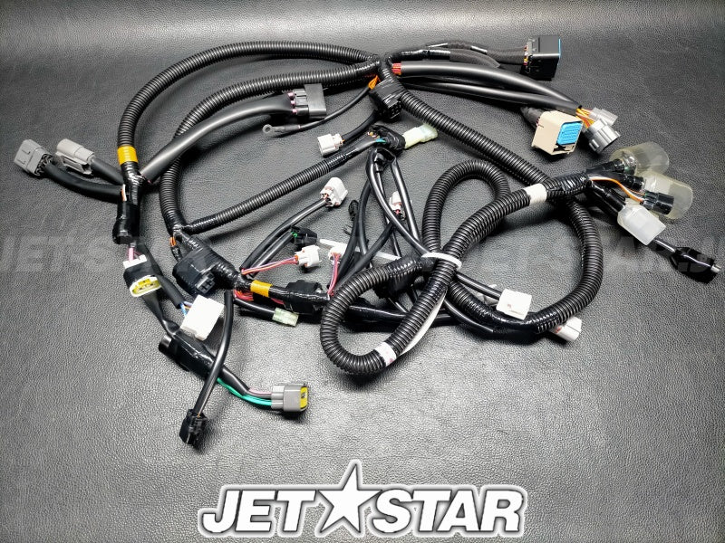 WIRE HARNESS ASSY 1