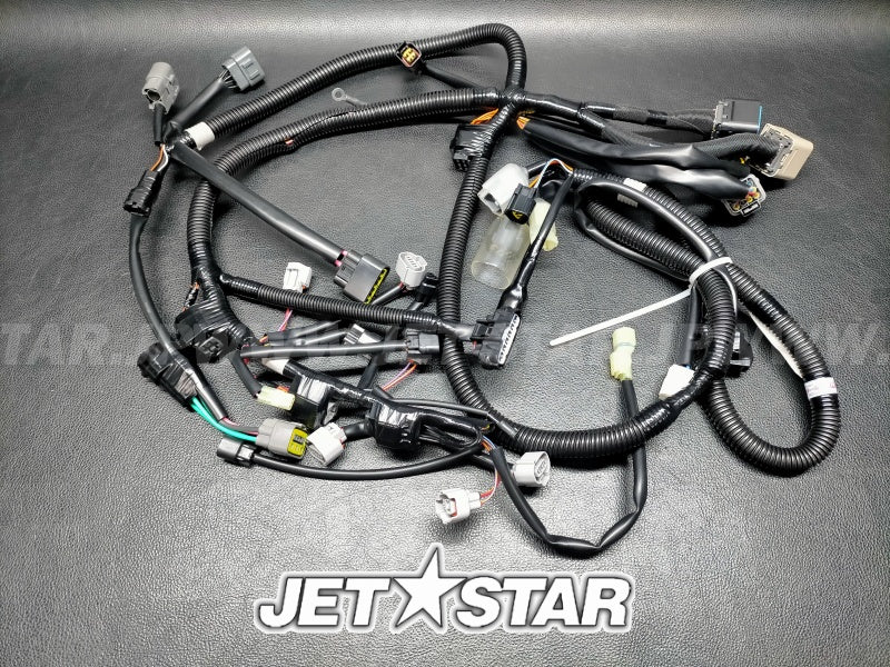 WIRE HARNESS ASSY 1