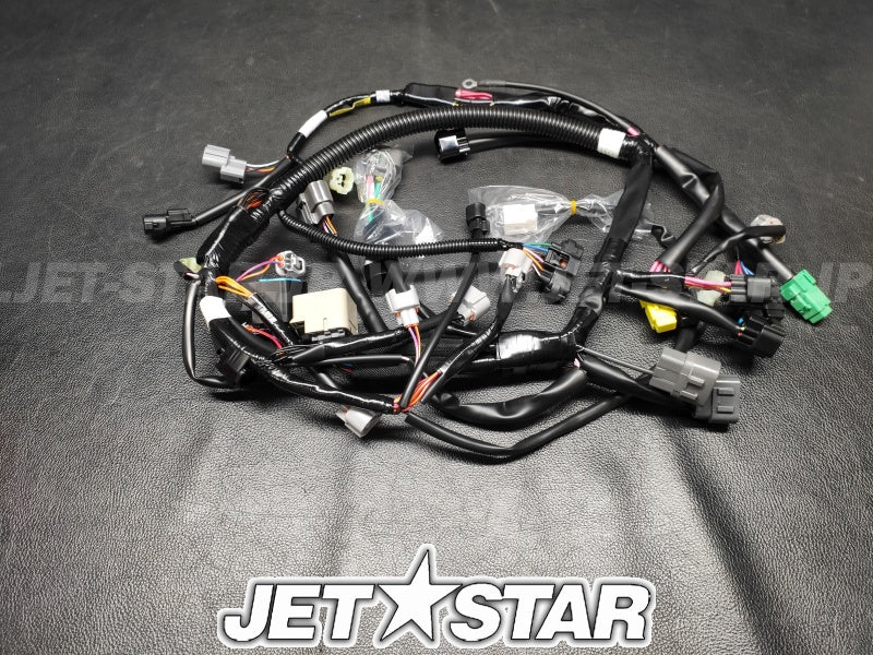 WIRE HARNESS ASSY 1