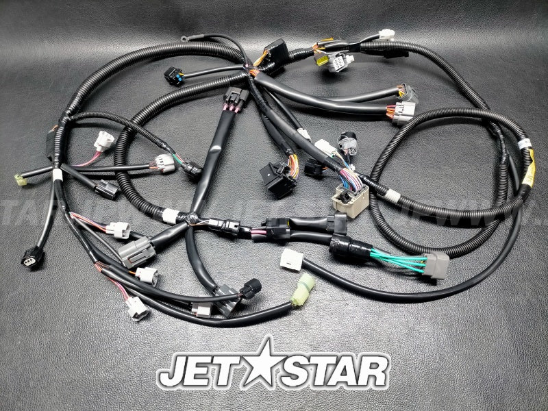 WIRE HARNESS ASSY 1