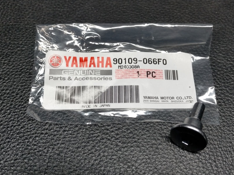 Yamaha Body Parts Titanium Cam Cover Bolt For Yamaha Motorcycles (2002-2017) - M6 X 22mm, Replaces OEM 90109-066F0-00 Yamaha Titanium Bolt - Foto 9