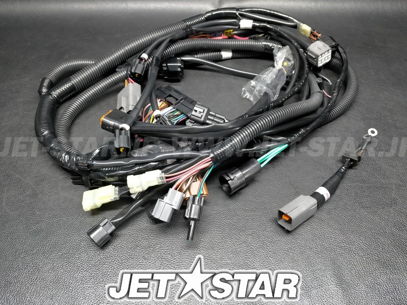 WIRE HARNESS ASSY 1