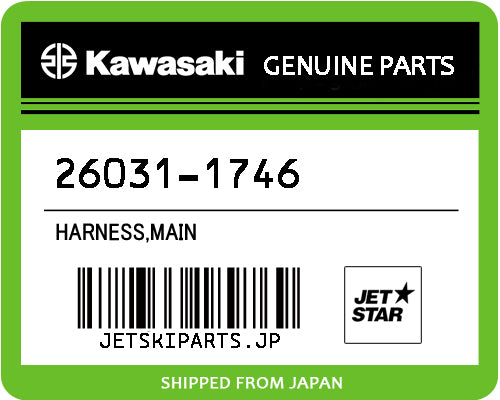 HARNESS,MAIN