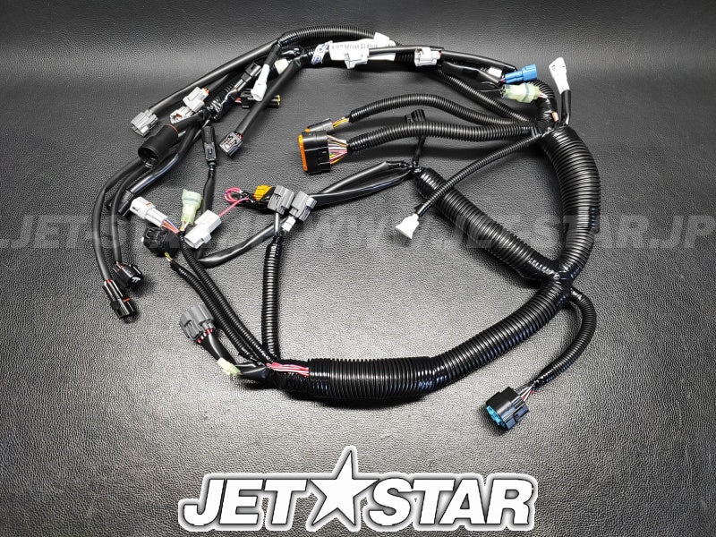 Kawasaki HARNESS,MAIN Used [PK409-06]