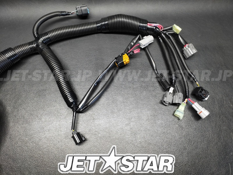 Kawasaki HARNESS,MAIN Brand New (Instock CEBU)