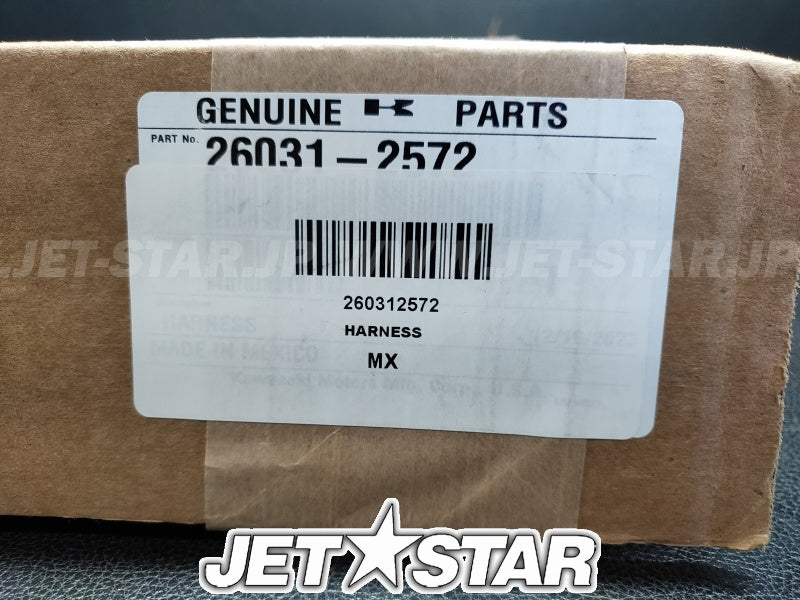 Kawasaki HARNESS,MAIN Used [PK409-06]