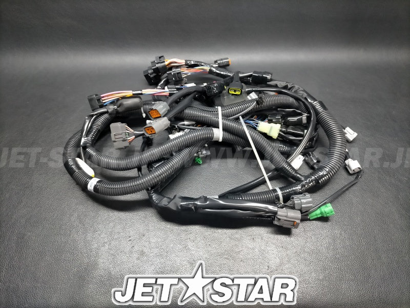 WIRE HARNESS ASSY 1
