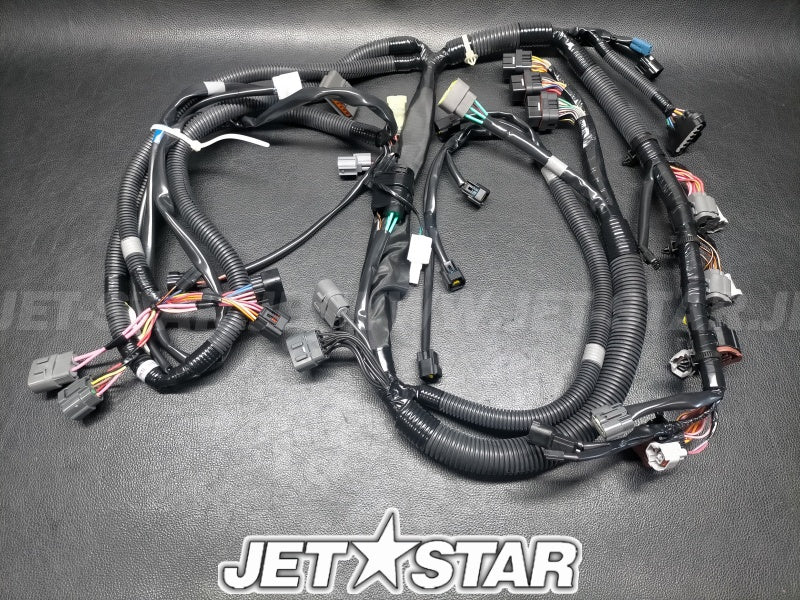 WIRE HARNESS ASSY 1