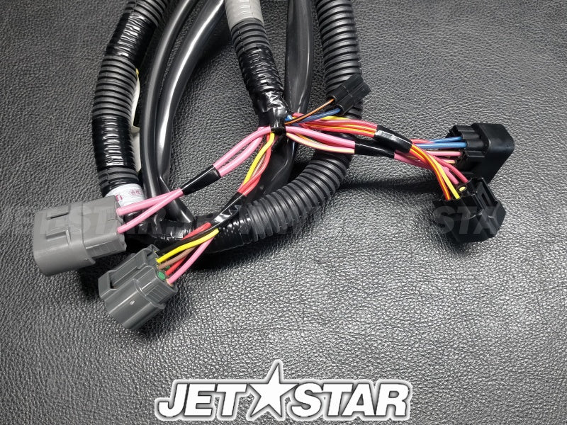 WIRE HARNESS ASSY 1
