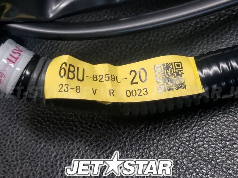 WIRE HARNESS ASSY 1