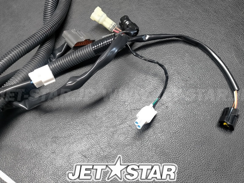 WIRE HARNESS ASSY 1