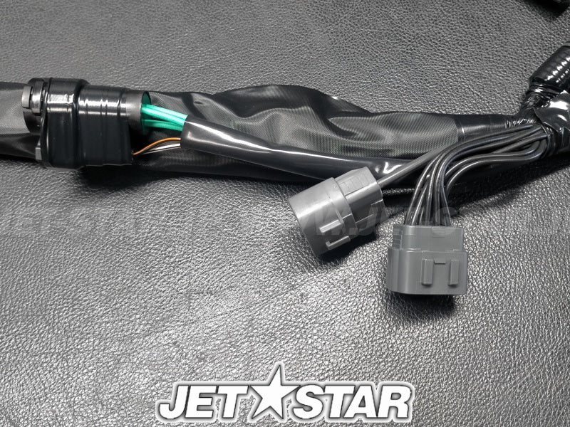 WIRE HARNESS ASSY 1