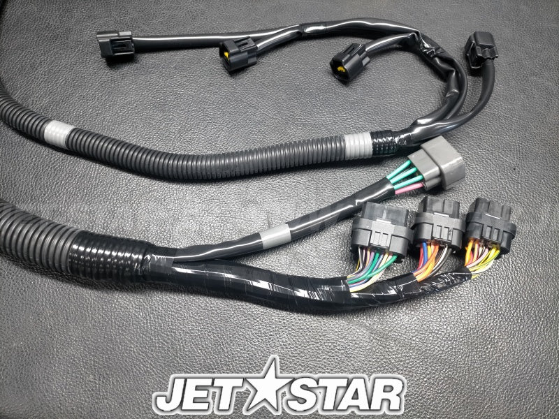 WIRE HARNESS ASSY 1