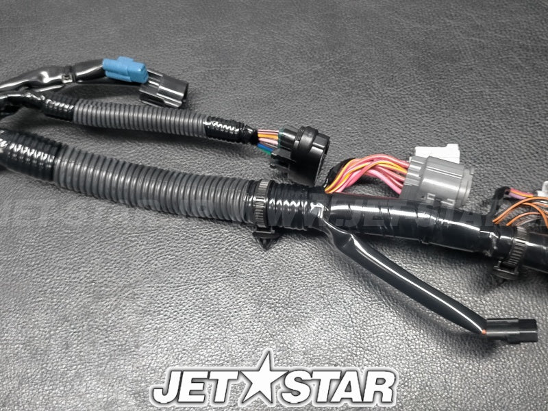 WIRE HARNESS ASSY 1
