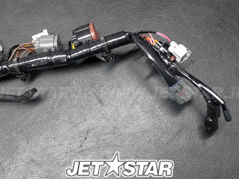 WIRE HARNESS ASSY 1