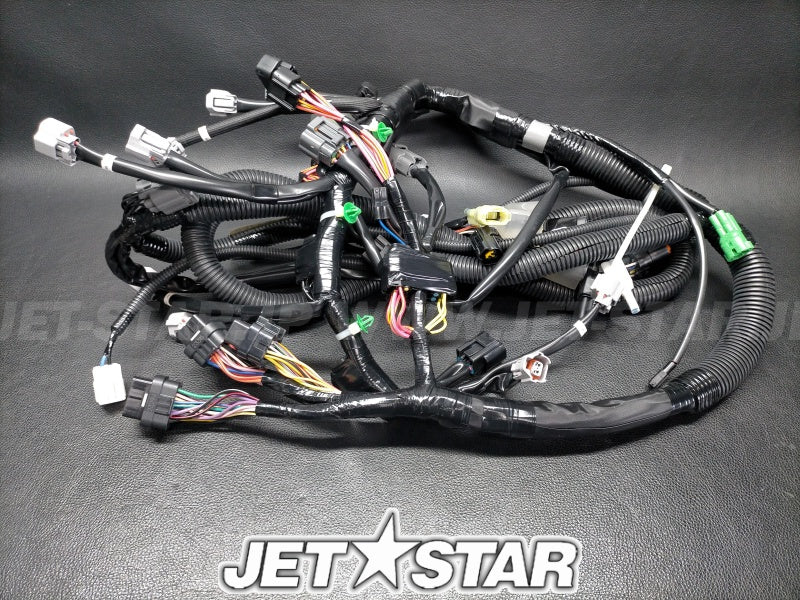 WIRE HARNESS ASSY 1