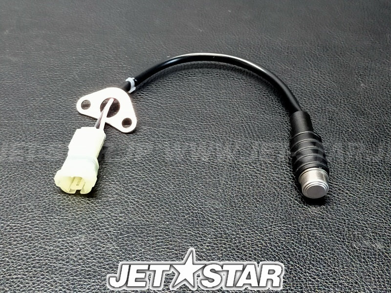 THERMO SWITCH ASSY