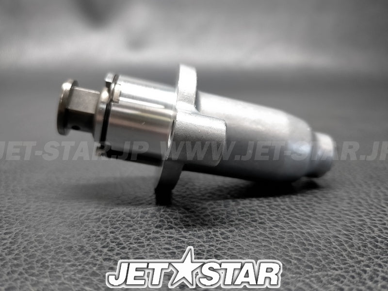 TENSIONER ASSY, CAM CHAIN