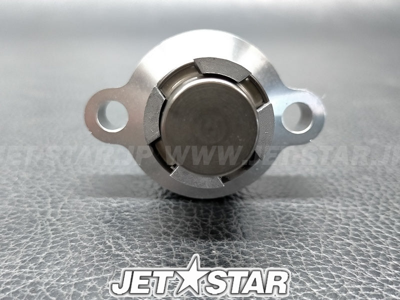 TENSIONER ASSY, CAM CHAIN