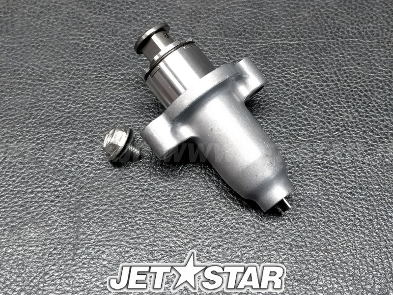 TENSIONER ASSY, CAM CHAIN