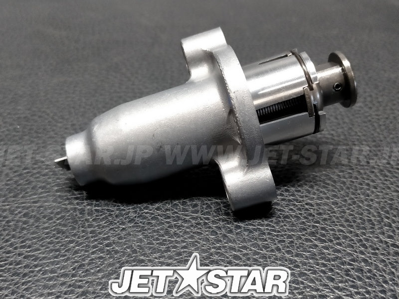 TENSIONER ASSY, CAM CHAIN