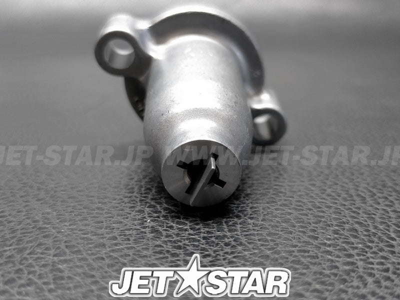 TENSIONER ASSY, CAM CHAIN