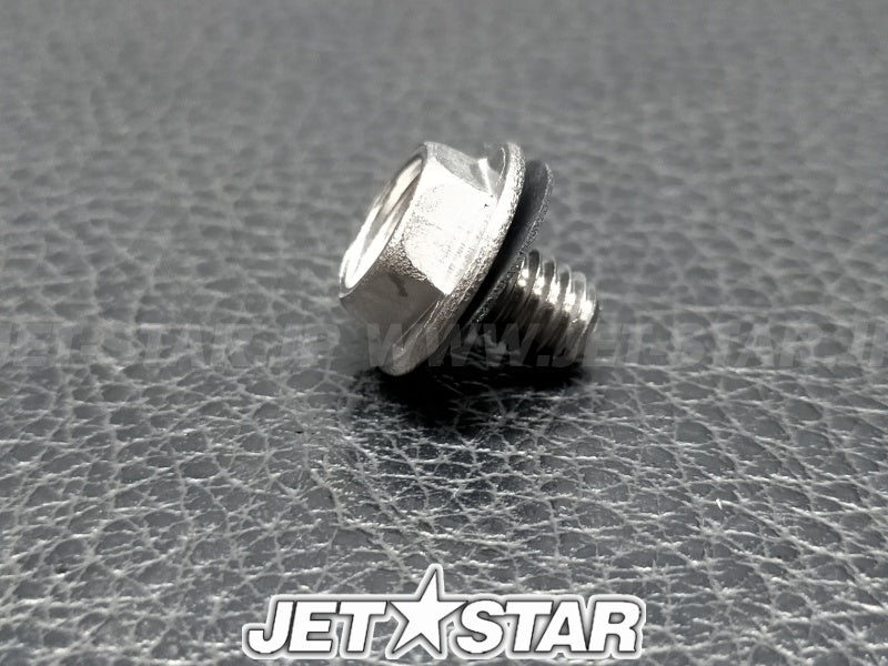 TENSIONER ASSY, CAM CHAIN