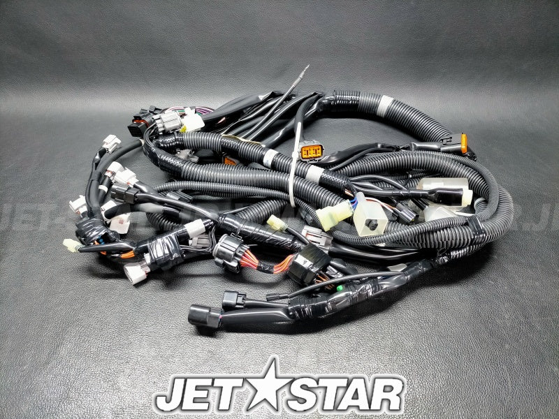 WIRE HARNESS ASSY 1