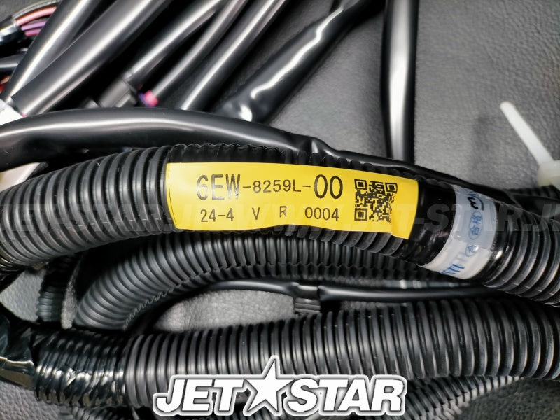 WIRE HARNESS ASSY 1