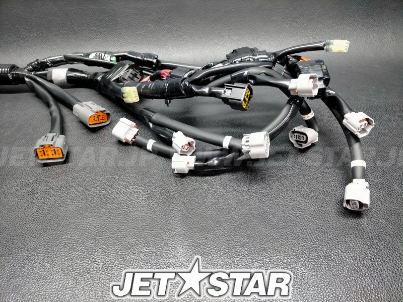 WIRE HARNESS ASSY 1
