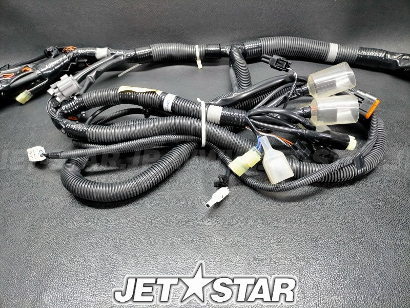 WIRE HARNESS ASSY 1