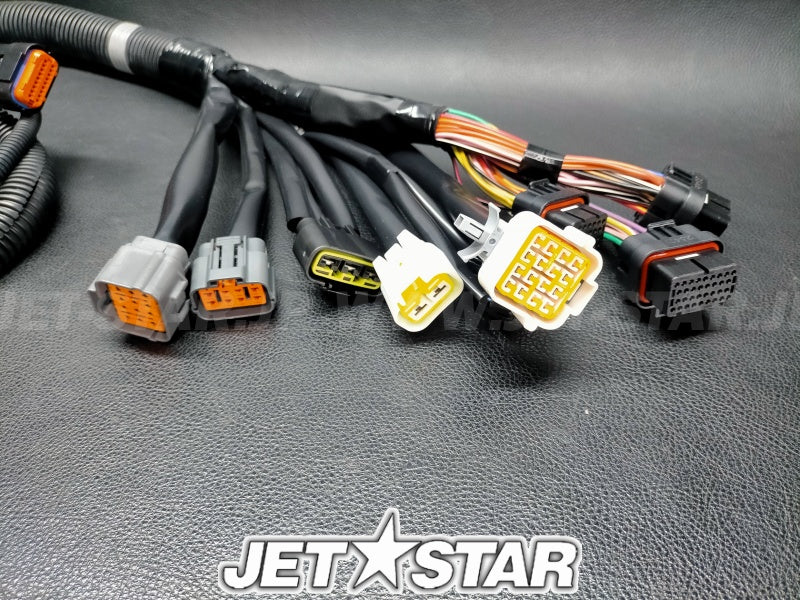 WIRE HARNESS ASSY 1
