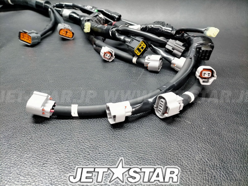 WIRE HARNESS ASSY 1