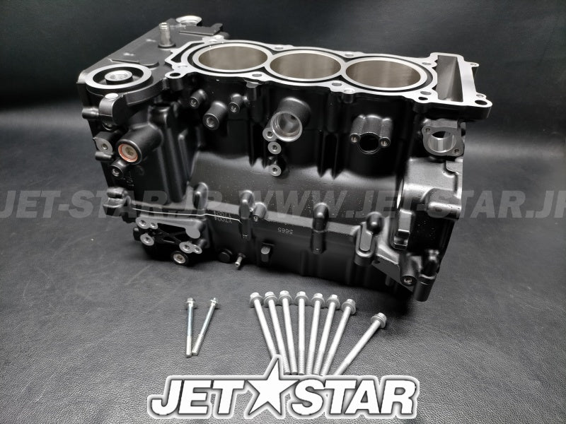 CRANKCASE ASSY