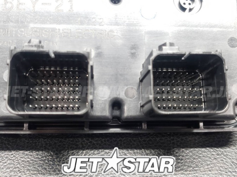 ENGINE CONTROL UNIT ASSY