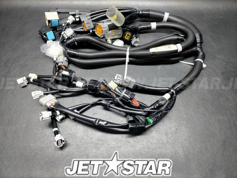 YAMAHA WIRE HARNESS ASSY 1 Brand New #6HL-8259L-01-00