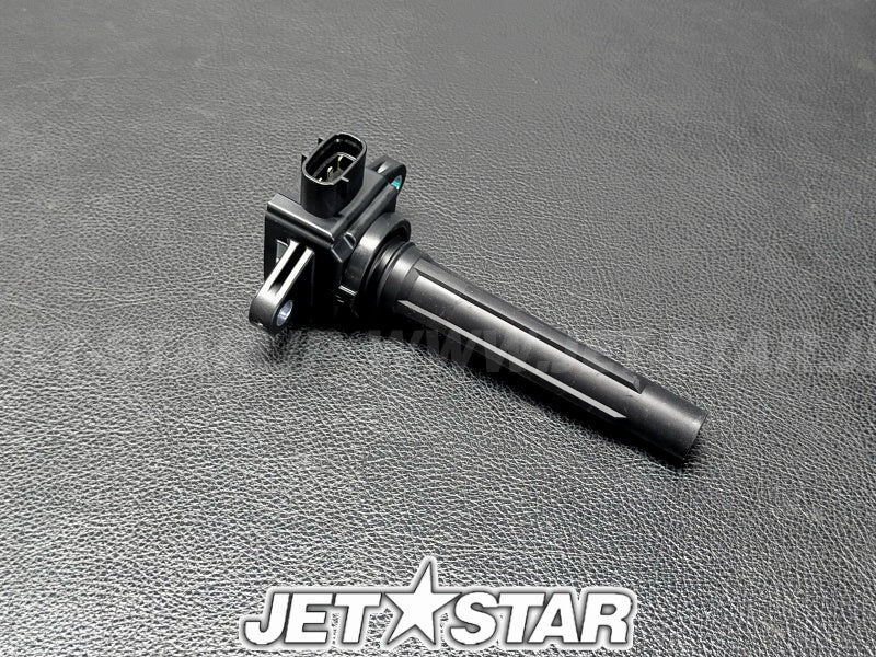 IGNITION COIL ASSY