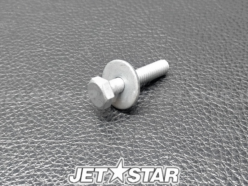 BOLT, WITH WASHER